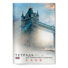 Тетрадь предметная А6,48л,д/записи иностр.слов,обл.лак ВИД 1 7-48-469/01 3 штуки Альт