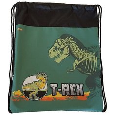 Мешок для обуви №1 School T-Rex 350x420 мм, МСО-5с