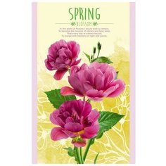 Блокнот А5,32л,клетк,скрепк,обл.мел.карт. ПРЕЛЕСТНЫЙ БУКЕТ Б32-45796видов 3 штуки Проф Пресс