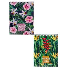 Блокнот А5 40л клет,греб,обл.карт ,офс.2 ЦВЕТУЩИЕ РАСТЕНИЯ в асс.Б40-0218 3 штуки Проф Пресс