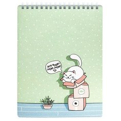 Блокнот BeSmart 80л клетка спираль мягк.пер 156х207мм Mur-mur коробки N1919