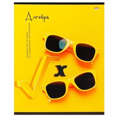 Тетрадь предметная А5,48л. АЛГЕБРА НА КОНТРАСТЕ 48-1015 4 штуки Проф Пресс