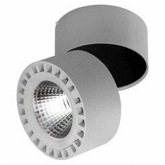 Спот Lightstar Forte 381393