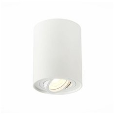 Спот ST Luce Torus ST108.517.01