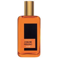 Туалетная вода Brocard Color Feeling Orange, 100 мл