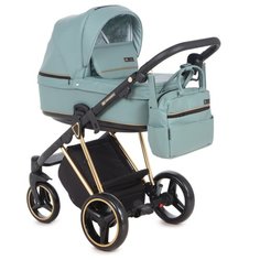 Универсальная коляска Adamex Verona Special Edition/Polar (2 в 1), VR-337