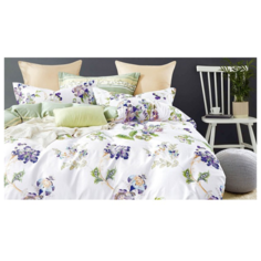 Постельное белье евростандарт Cleo Satin de Luxe 671-SK, сатин, 50 х 70 и 70 х 70 см, разноцветный