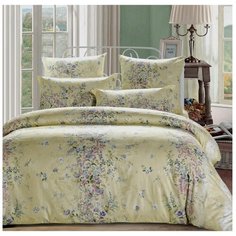 Постельное белье семейное СайлиД A-165, поплин, 70 х 70 см, бежевый/голубой