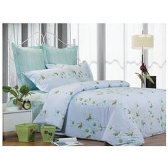 Постельное белье евростандарт СайлиД B-84, сатин, 50 х 70 и 70 х 70 см, голубой