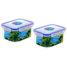 Набор герметичных пищевых прямоугольных контейнеров, 2шт по 470 мл. ТЕК.А.ТЕК