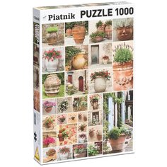 Пазл Piatnik Цветы в горшках (545542), 1000 дет.