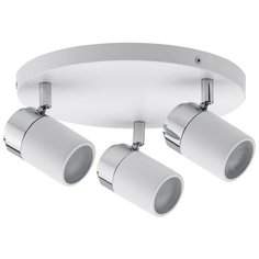 Спот Paulmann Zyli, 66712