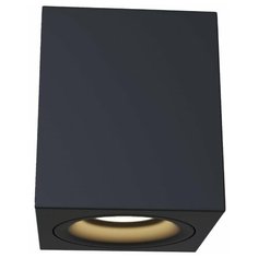 Спот MAYTONI Alfa C013CL-01B