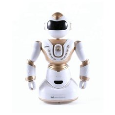 Радиоуправляемый робот MZ-2850 Meizhi