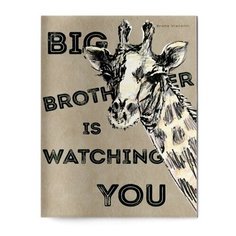 ТЕТРАДЬ А5, Bruno Visconti "BIG BROTHER" 40л. клетка
