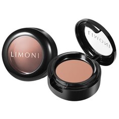 Limoni Корректор для лица Skin Perfect corrector в футляре, оттенок 06