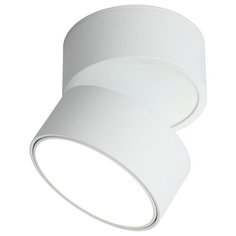 Спот Lenno OML-101309-18 Omnilux