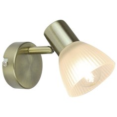 Спот PARRY A5062AP-1AB Arte Lamp