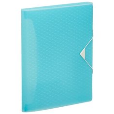 Esselte Папка-органайзер ColourIce А4, пластик, 6 отделений синий