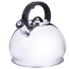 Чайник MAYER&BOCH 29169 5 л со свистком