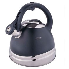 Чайник со с вистком ZEIDAN Z-4279