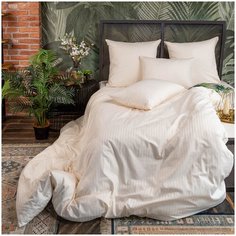 Постельное белье Soft Box SS Ваниль Евро, Страйп-сатин, простыня на резинке 180х200, наволочки 70х70 см (2 шт)