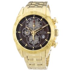 Наручные часы FESTINA F16656/4