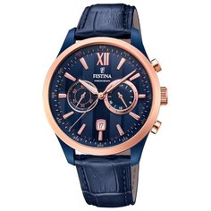Наручные часы FESTINA F16998.1