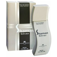 Туалетная вода Arno Sorel Shaman Silver, 100 мл