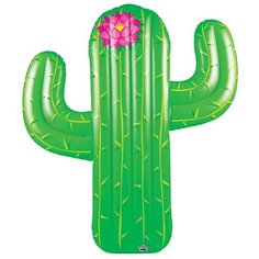 Матрас BigMouth Cactus, BMPF-CT 150x170 см зелeный