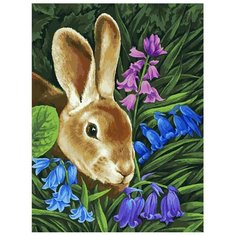 Белоснежка Картина по номерам "Кролик" 30х40 см (115-AS)