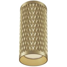 Спот MAYTONI Alfa C036CL-01G