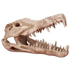 Фигурка для аквариума Prime Череп крокодила 25х15.2х15.2 см бежевый P.R.I.M.E.