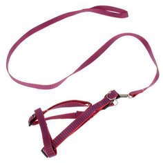 Шлейка с поводком Пижон рельефная красный/синий