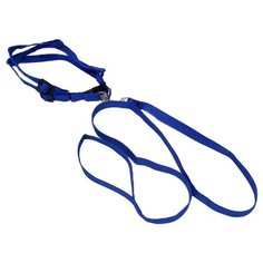 Шлейка с поводком Пижон Базис синий