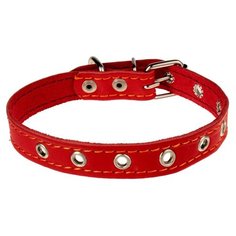Ошейник Пижон 3674974,3674975,3674976, 45 см красный
