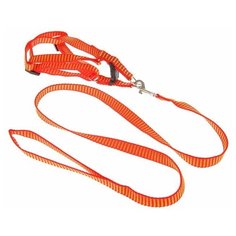 Шлейка с поводком Пижон рельефная красный/желтый