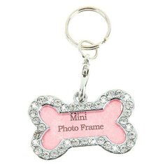 Адресник на ошейник Пижон Косточка серебристый