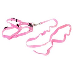 Шлейка с поводком Пижон Базис розовый