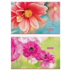 Альбом для рисования ArtSpace "Цветы. Tenderness ", 24 л., 7 шт./2 дизайна в упаковке