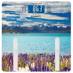 Весы электронные Scarlett SC-BS33ED11