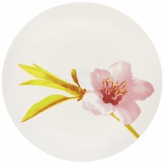 Luminarc Тарелка обеденная Water Color 25 см белый