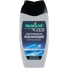 Гель для душа 3 в 1 Palmolive Men Арктический ветер, 250 мл