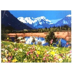Цветной Картина по номерам "Альпы" 40х50 см (GX7809)