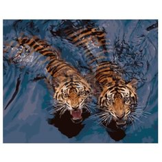 Цветной Картина по номерам "Мощные тигры в воде" 40х50 см (GX5729)