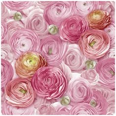 Обои Wallberry 3294 Дана 0,53х10м.