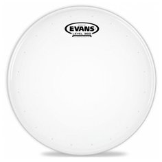 Evans B12DRY