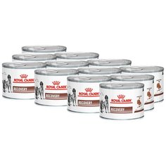 Влажный корм для собак Royal Canin Recovery в период восстановления после операции 12 шт. х 195 г