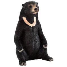 Фигурка Mojo Wildlife Малайский медведь 387173