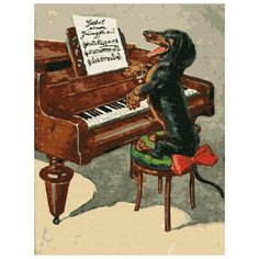 Картина по номерам с цветным холстом Molly 30х40 см Собачий вальс